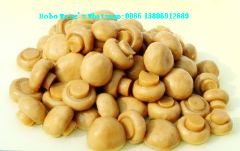 Canned Whole Button Mushroom In Brine