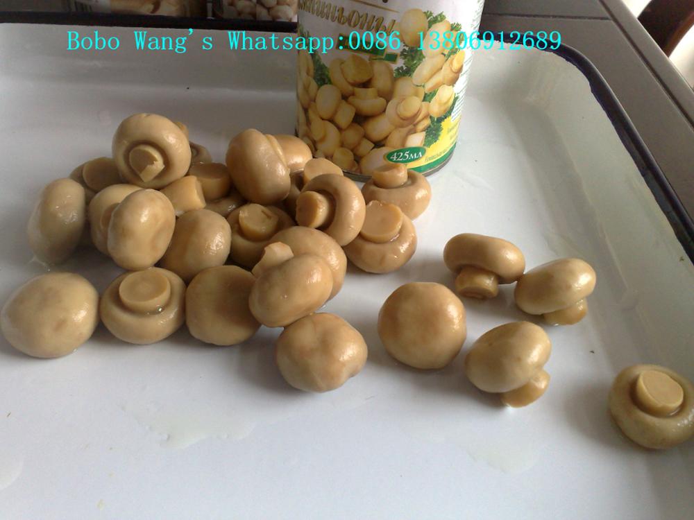 Canned Whole Button Mushroom In Brine