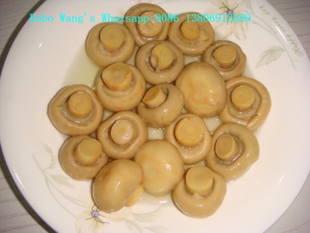 Canned Whole Button Mushroom In Brine