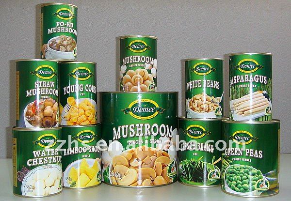 Mushroom Manufacturing Canned Mushroom P n S Buyers for Oyster Mushrooms