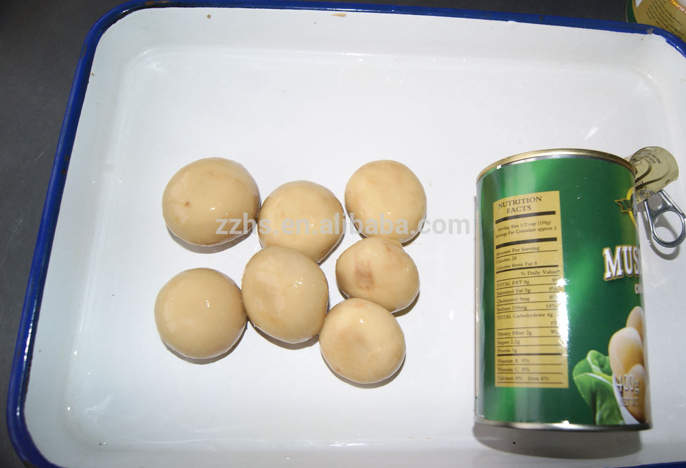 Wholesale fresh and delicious canned mushroom whole