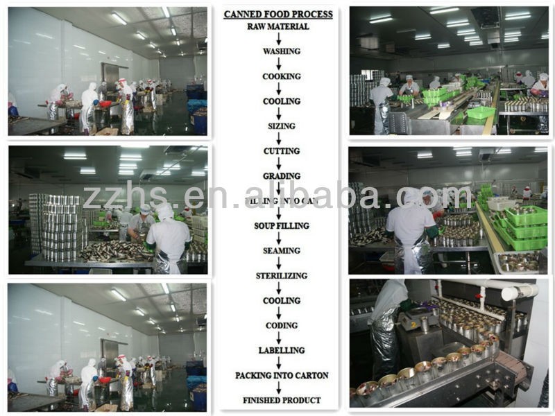 Wholesale fresh and delicious canned mushroom whole