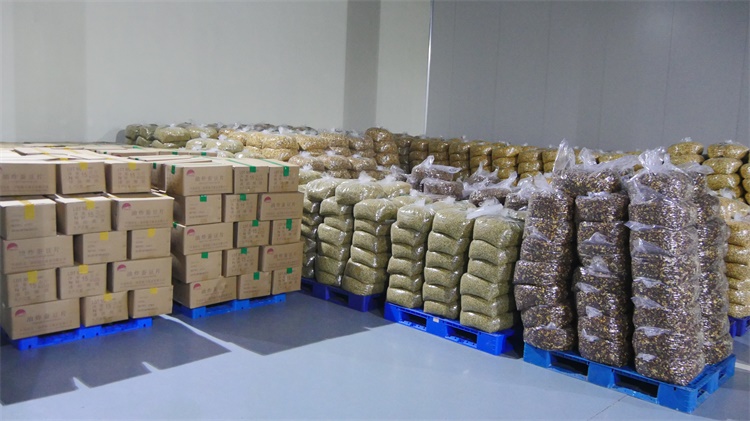 Factory Hot Sale healthy snacks coated green peas