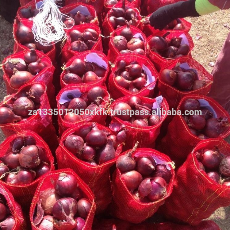 direct Factory sale Fresh Red Onion
