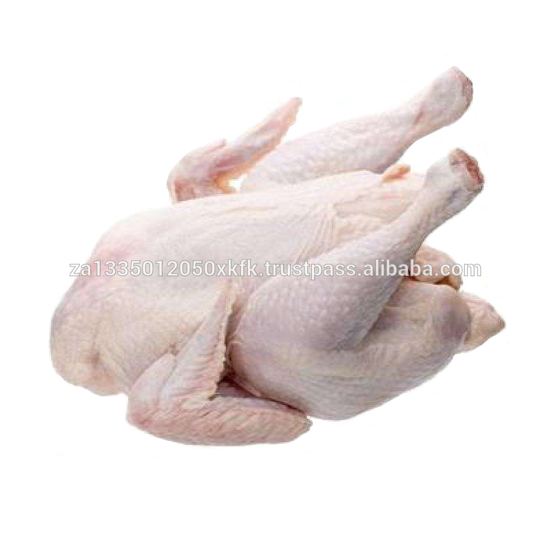 Wholesale Halal Frozen Chicken Whole Chicken Broiler for Sale
