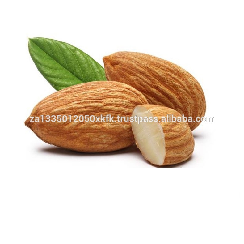 Almond Milk Powder