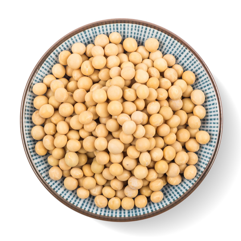 Dry Soya Bean / Soya Bean,South Africa price supplier 21food