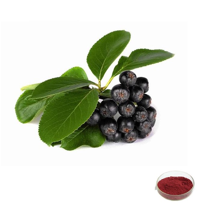 Aronia Juice Concentrate,South Africa price supplier - 21food