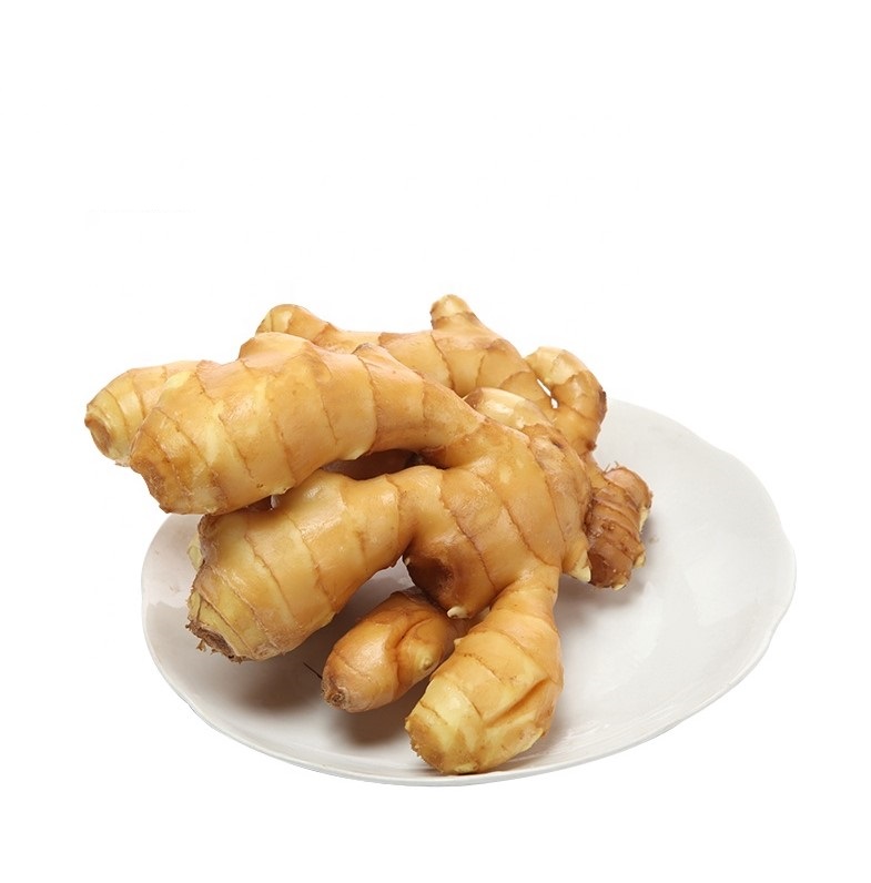 Dried Gingerbest Price Gingerdry Gingersouth Africa Price Supplier 21food 4579