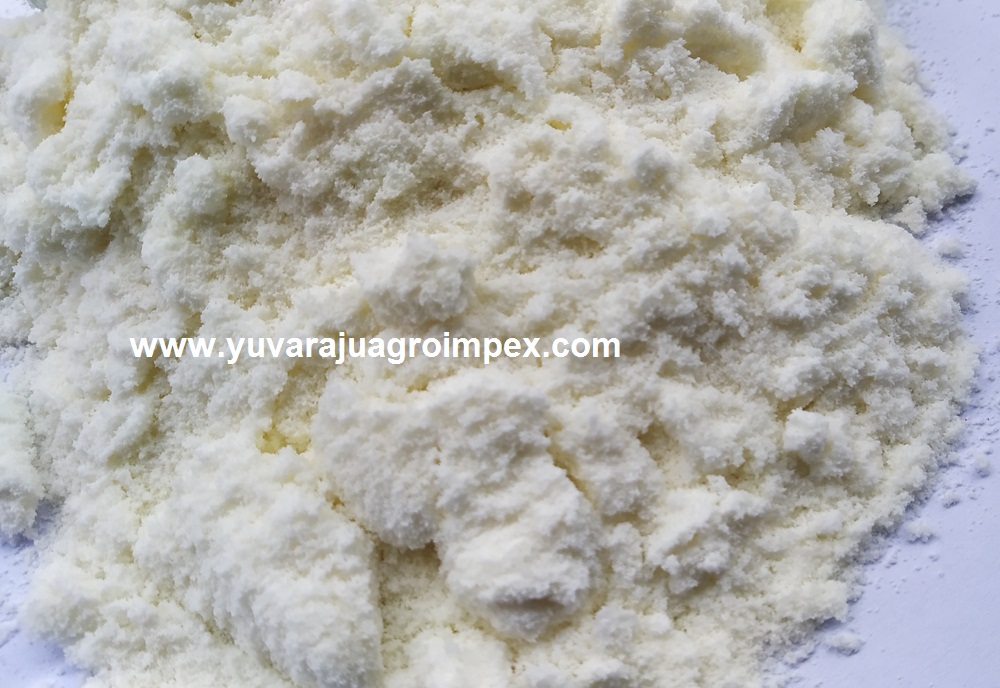 Wholesale bulk packing 25 Kg milk powder