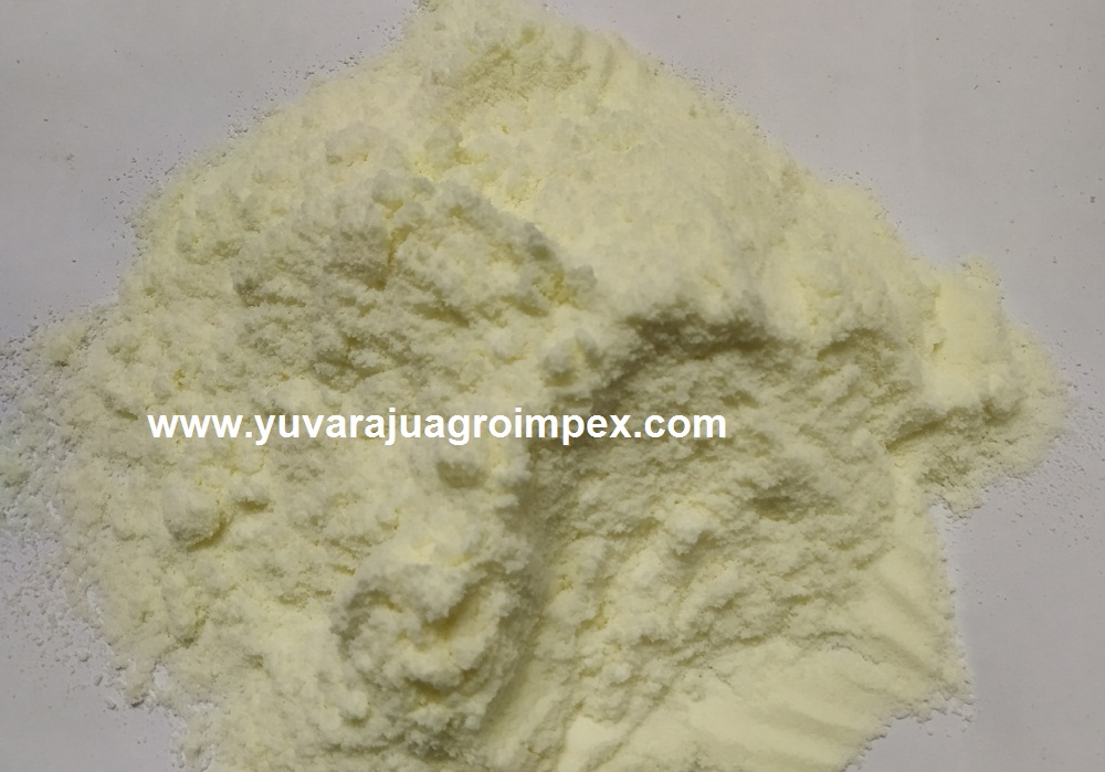Wholesale bulk packing 25 Kg milk powder