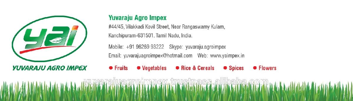 Wholesale bulk packing 25 Kg milk powder