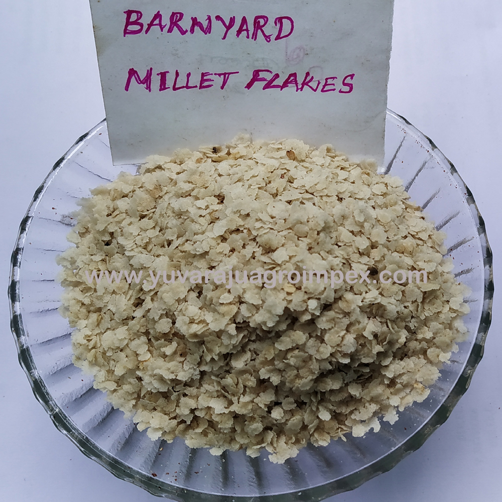 barnyard-millet-flakes-supplier-india-price-supplier-21food