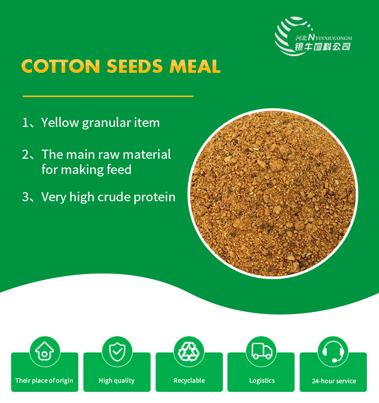 Cotton Seed Oil Cake – D.K. Impex Ltd.