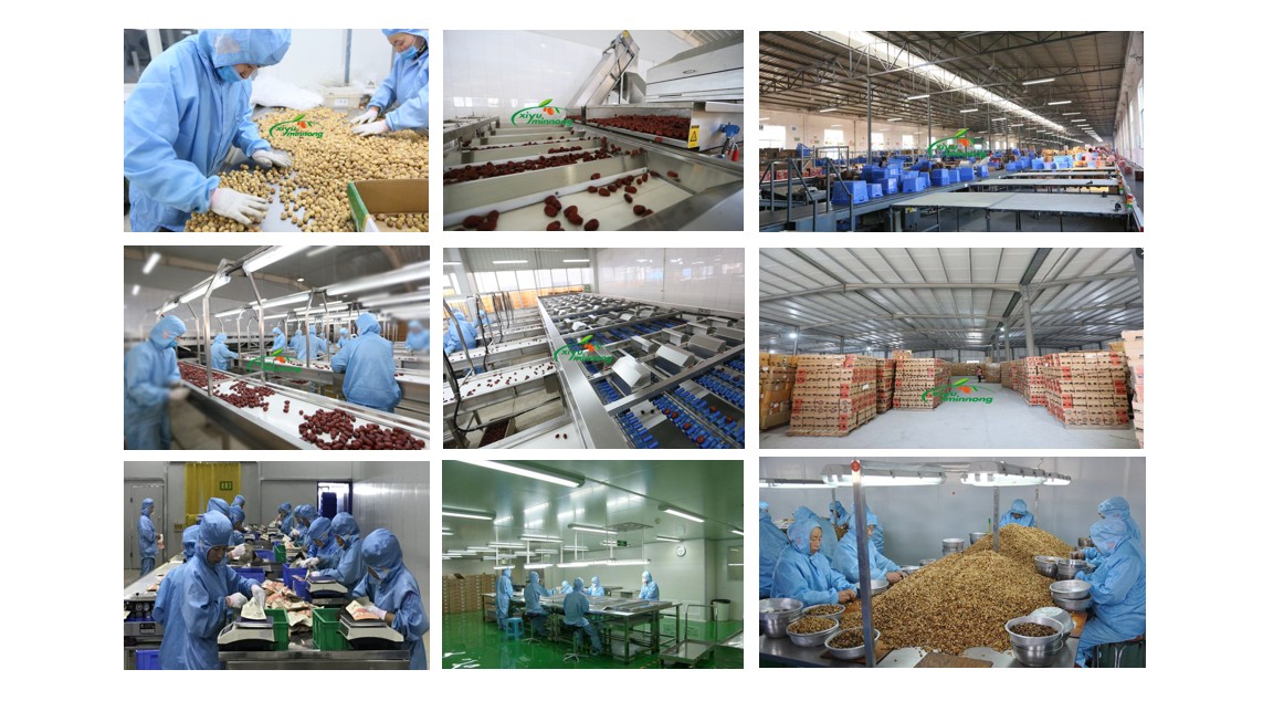 Chinese 185 Paper Shelled Walnut, Walnut In Shell, Walnut Kernel Manufacturer