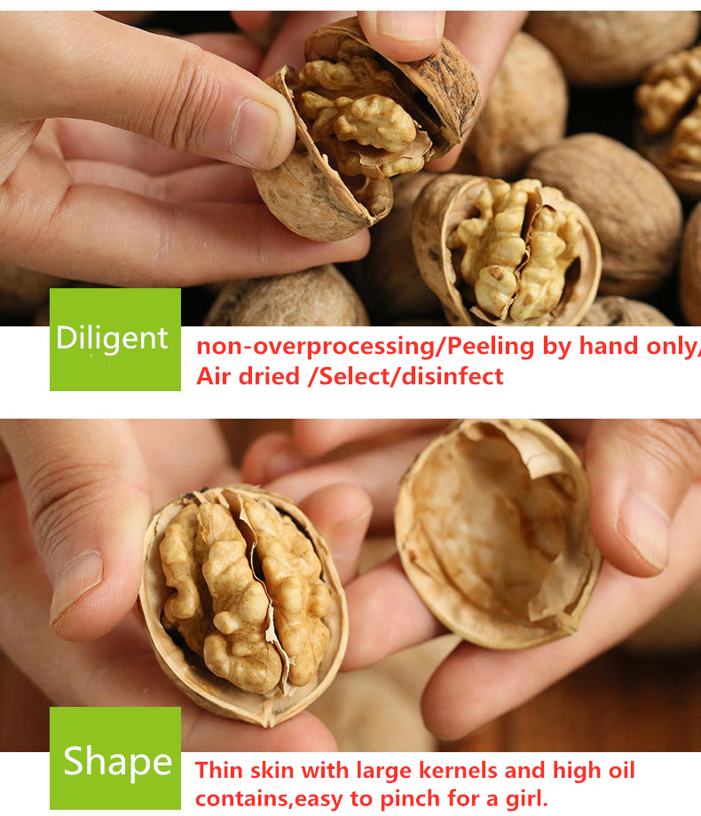 Chinses Walnut Kernels Halves / Walnut Kernel Price