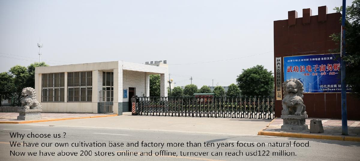 Chinese factory supply export of dates best price Hot Sell Dried Dates Fruit small seedless Hotan Da Zao