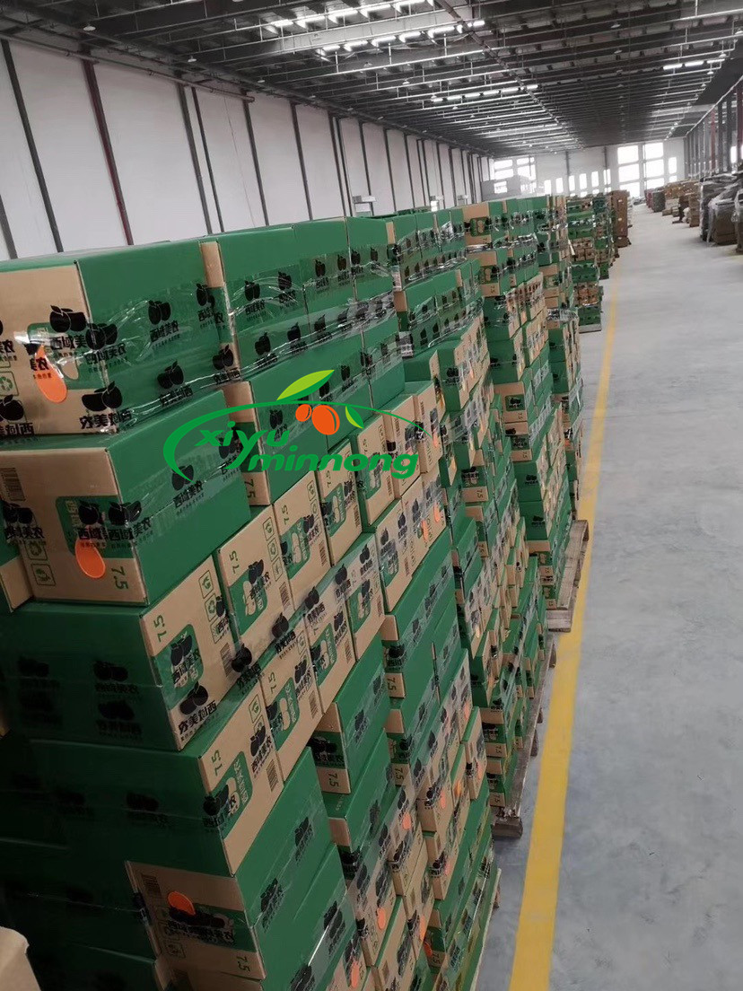 Chinese factory supply export of dates best price Hot Sell Dried Dates Fruit small seedless Hotan Da Zao
