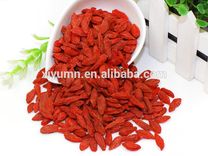 High quality hotsale Chinese dried goji berries from Ningxia