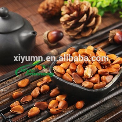 Bulk pine nuts in shell/without shell