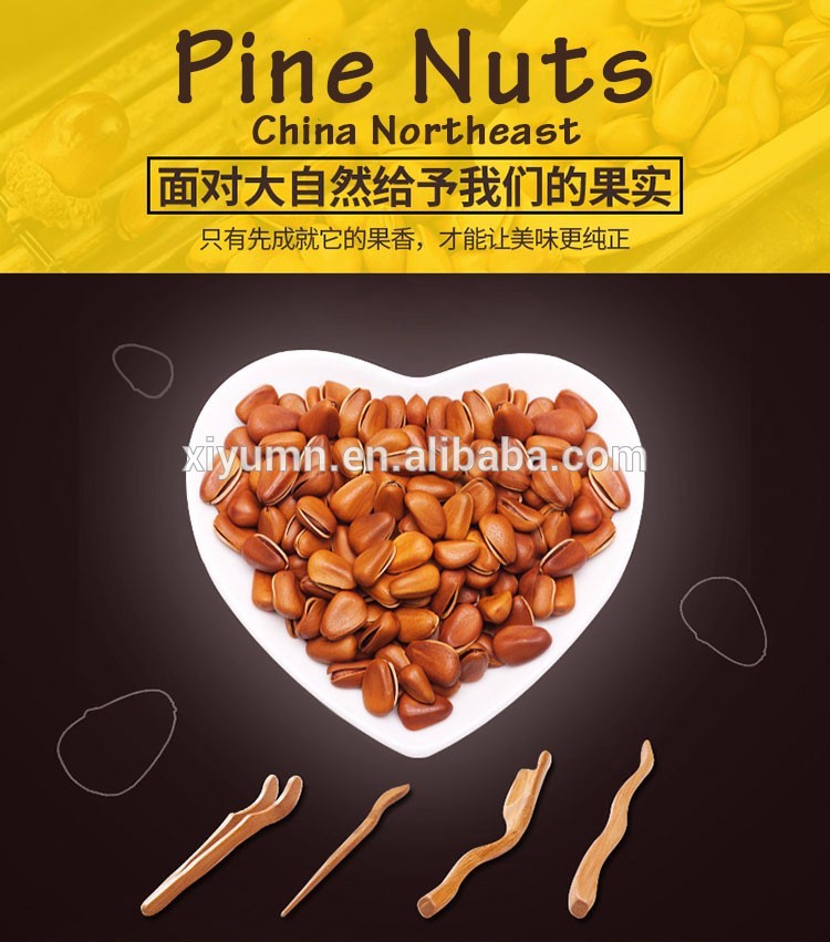 Bulk pine nuts in shell/without shell