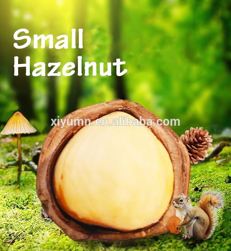 Organic nuts in shell high quality hazelnut