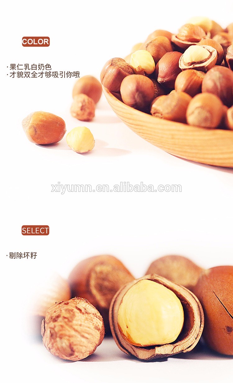 Organic nuts in shell high quality hazelnut