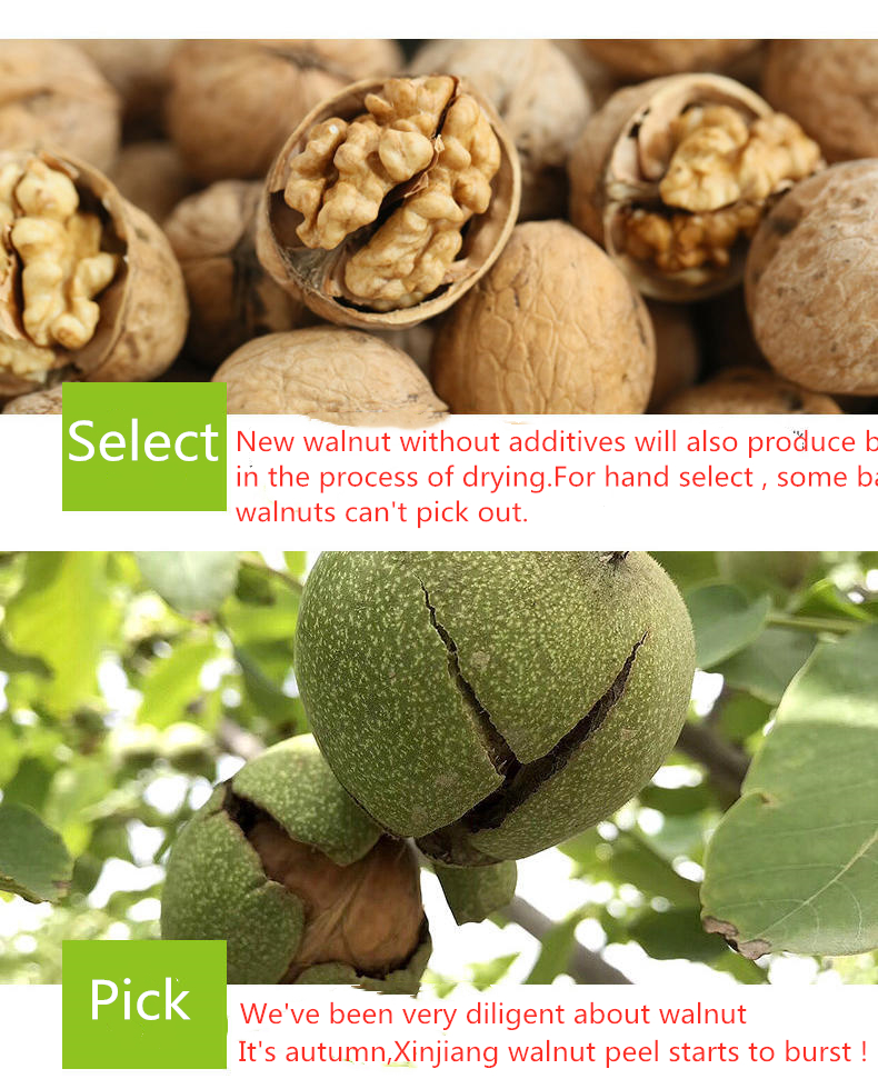 New Crop Butterfly Walnut Kernel Light Color