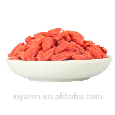 High quality hotsale Chinese dried goji berries from Ningxia