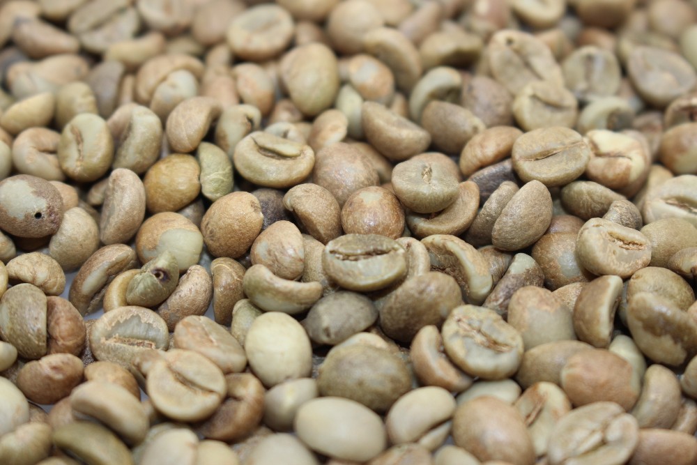 Private label fresh arabica roasted Coffee Beans