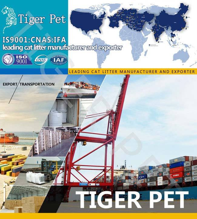 High quality hot sale cat sand silica