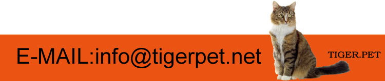 High quality hot sale cat sand silica