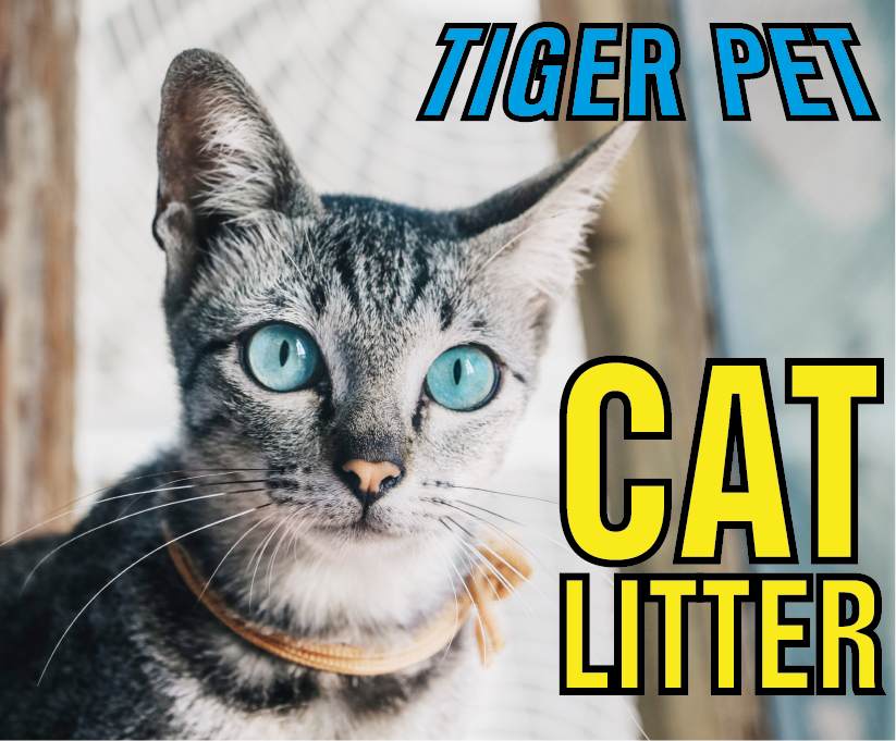 2019 amazon best seller china pet supplies best products cat litter for pets