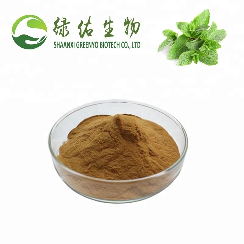 100 % Natural pure lemon balm extract powder,China price supplier - 21food