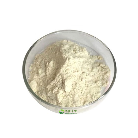 Reasonable price mastic gum / mastic gum powder / mastic gum price