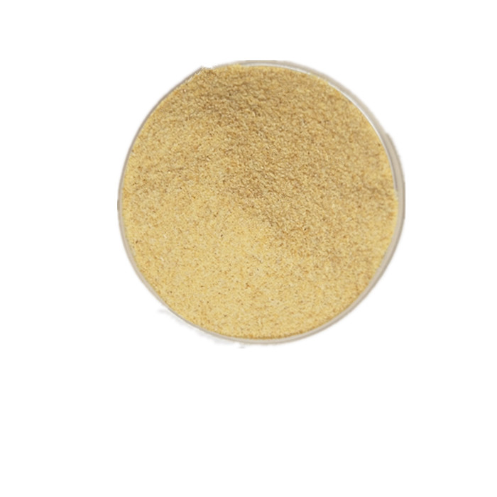 New Crop Dehydrated Garlic Powder Dried Garlic Powder