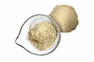 TOP Quality 100% Pure AD Button Mushroom Powder For Food Cooking