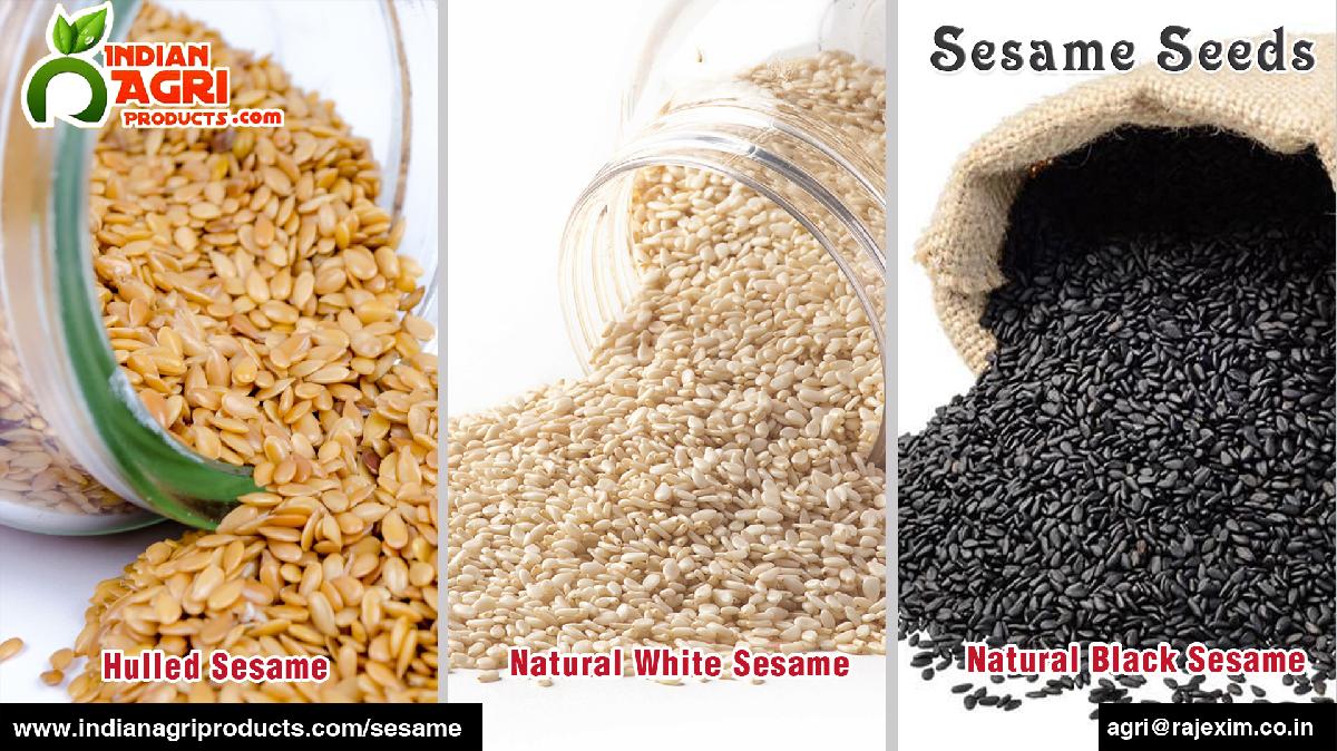 Fresh hulled sesame seeds from India