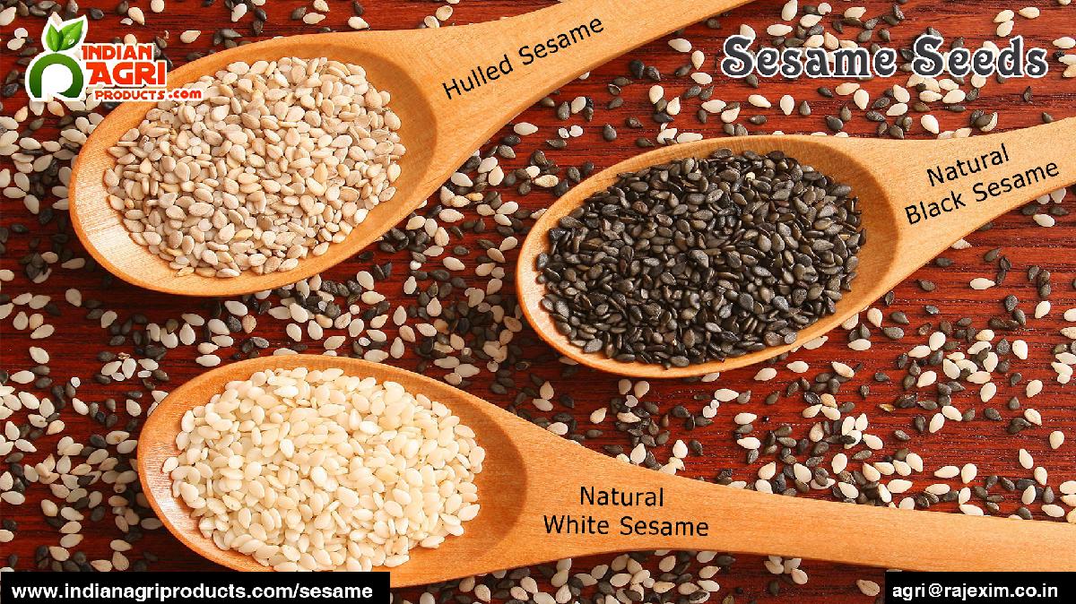 Fresh hulled sesame seeds from India