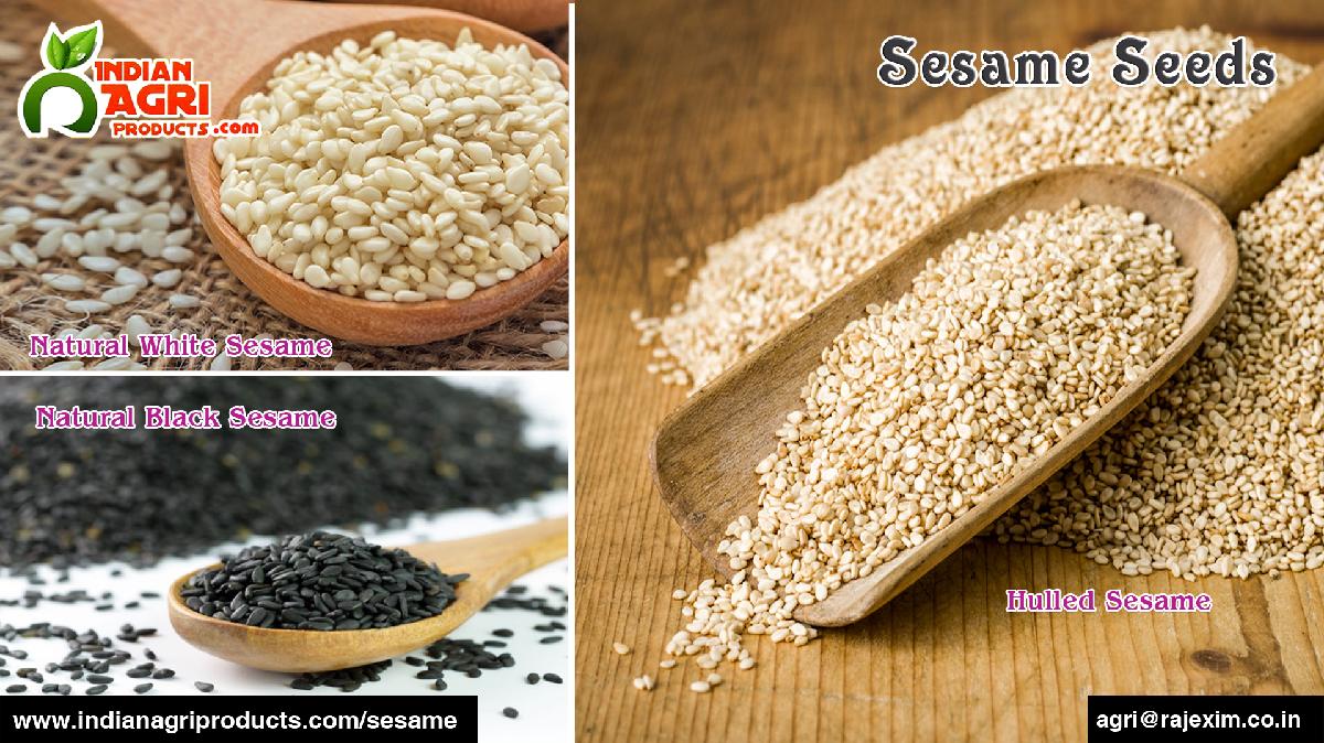 Fresh hulled sesame seeds from India