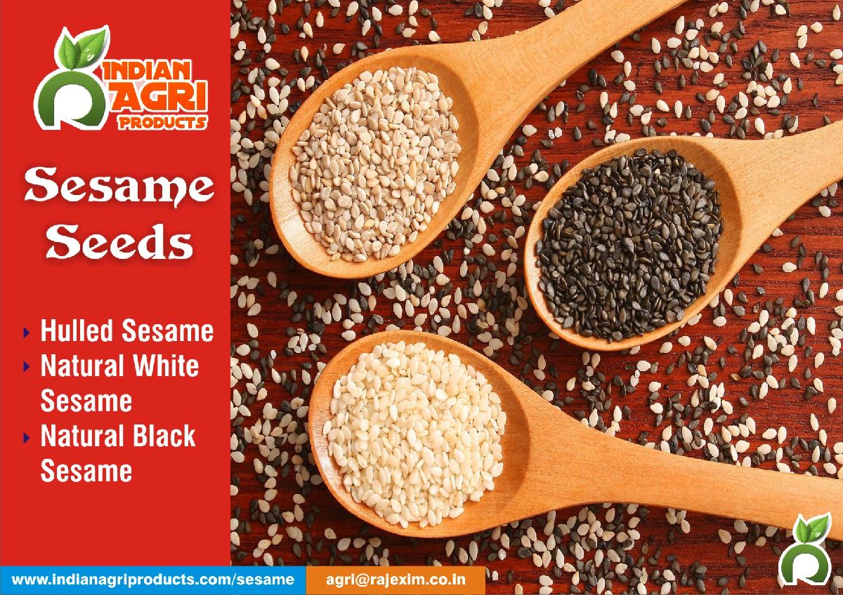 Fresh hulled sesame seeds from India