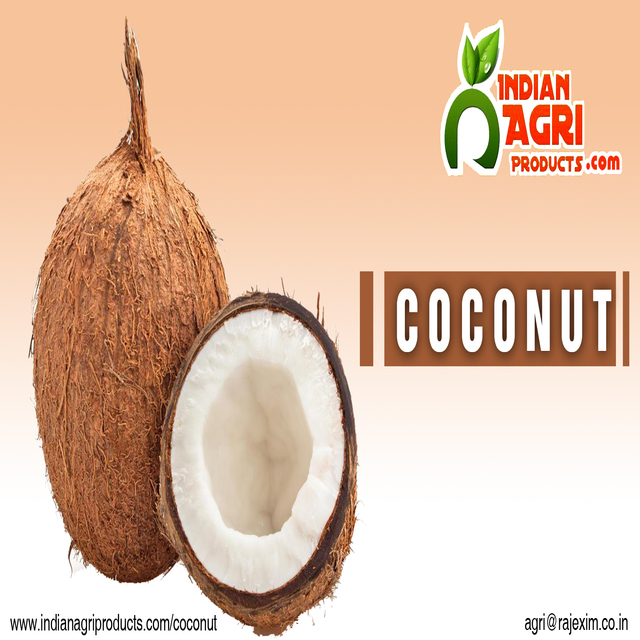 Buy Best Quality Coconut From India,India price supplier - 21food