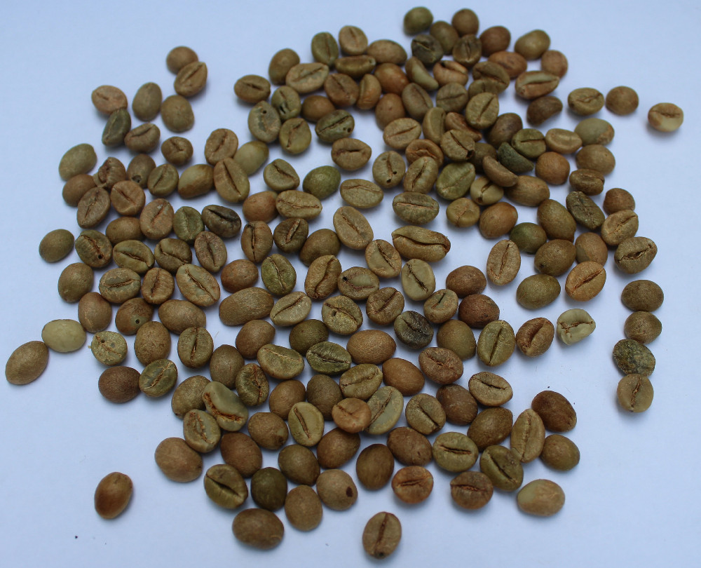 Export Price of Robusta AA coffee bean,India price supplier - 21food