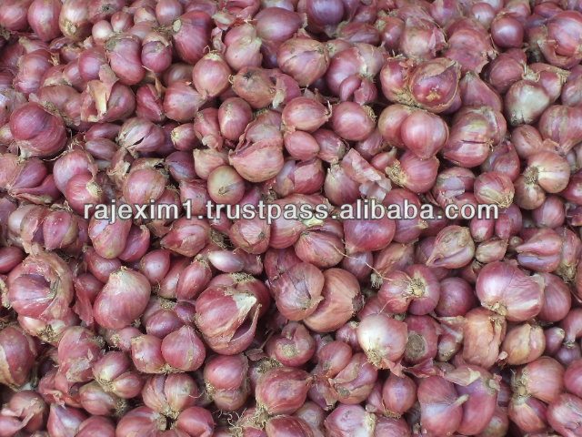 Indian small red onion Price