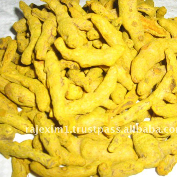 Turmeric In Fingers Curcumin India Price Supplier Food