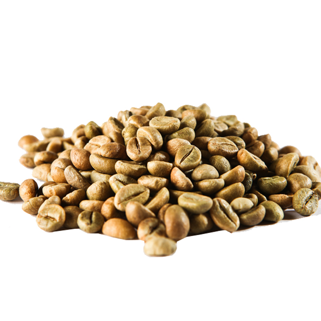 Raw Common Coffee Bean global wholesale market price today