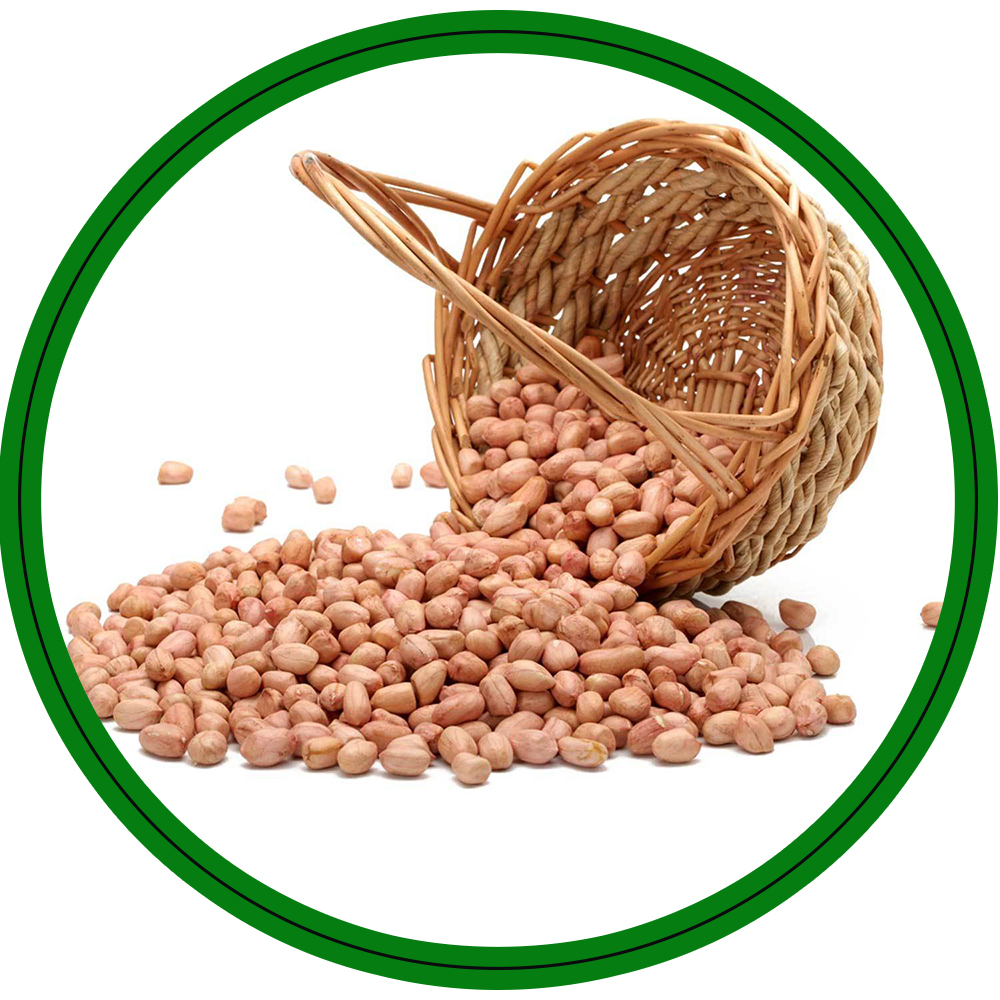 Top Selling 40 50 Count Indian Raw Bold Peanuts At Cheapest Price Products India Top Selling 40 50 Count Indian Raw Bold Peanuts At Cheapest Price Supplier