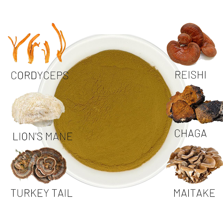 Mushroom Mix Supplement Reishi Lions Mane Chaga Cordyceps