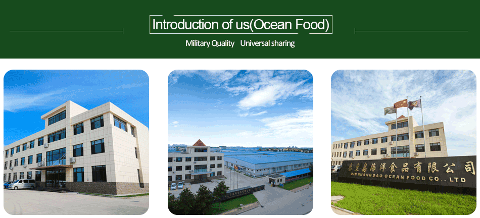 Emergency Food Military Ration High Energy compressed biscuits