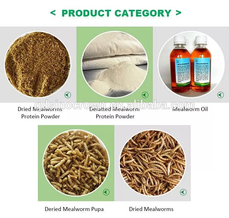High Protein Natural The Price For Quality Dried Mealworms